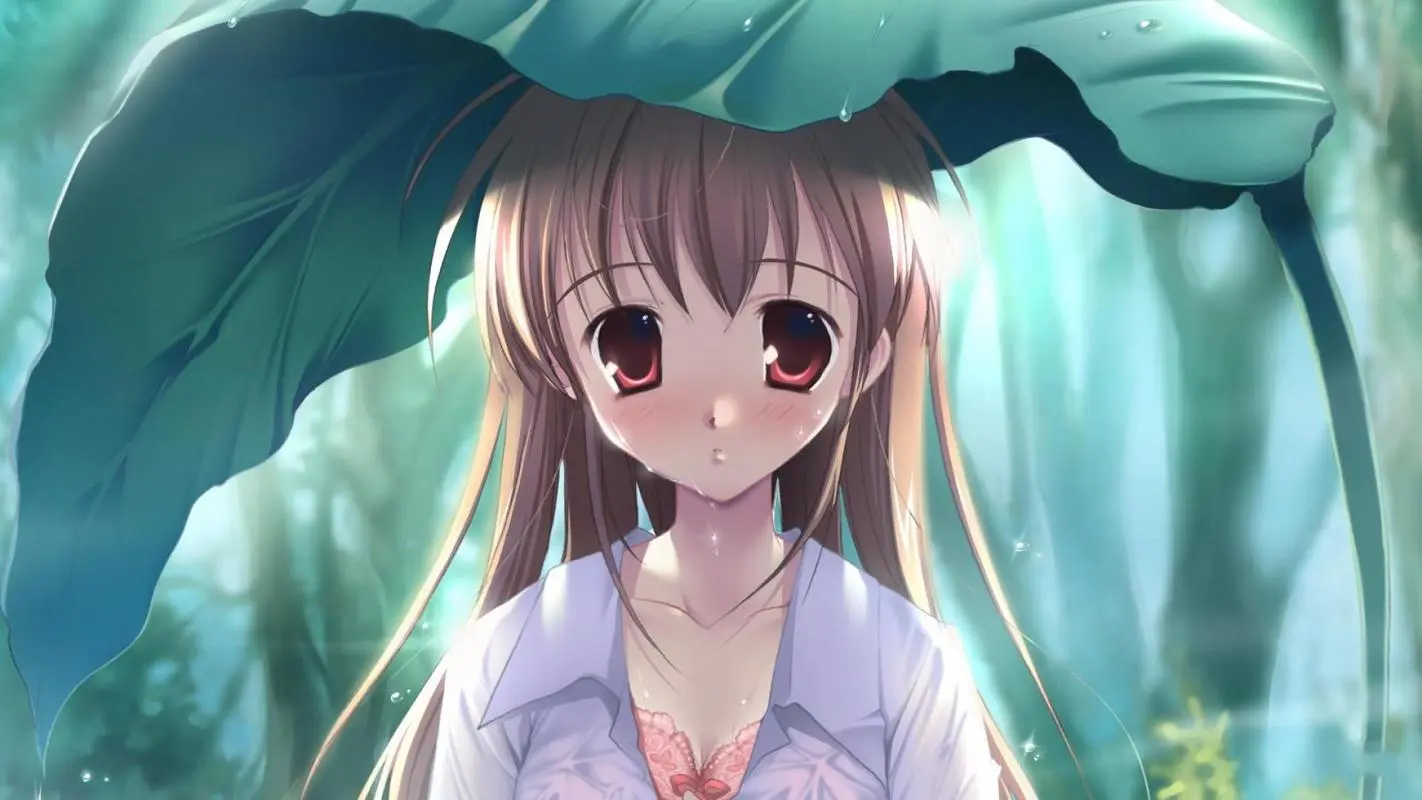 admin的头像网赚项目-副业赚钱-互联网创业-资源整合歪妹网赚