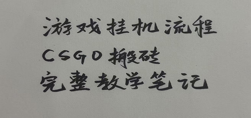游戏挂机全流程笔记分享，CSGO游戏搬砖，小白看了当天学会见收益 - 第1张