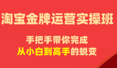 飓风电商·淘宝金牌运营实操班亿创资源网_优质资源分享平台_一站式资源获取亿创资源网 | 优质资源分享平台_一站式资源获取